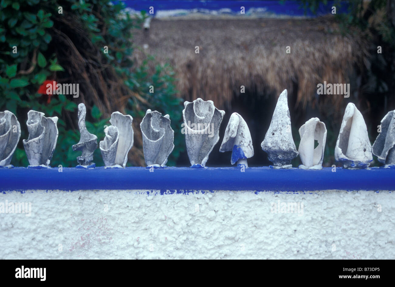 Conch shells decorating a wall in Puerto Morelos, Quintana Roo, Mexico ...