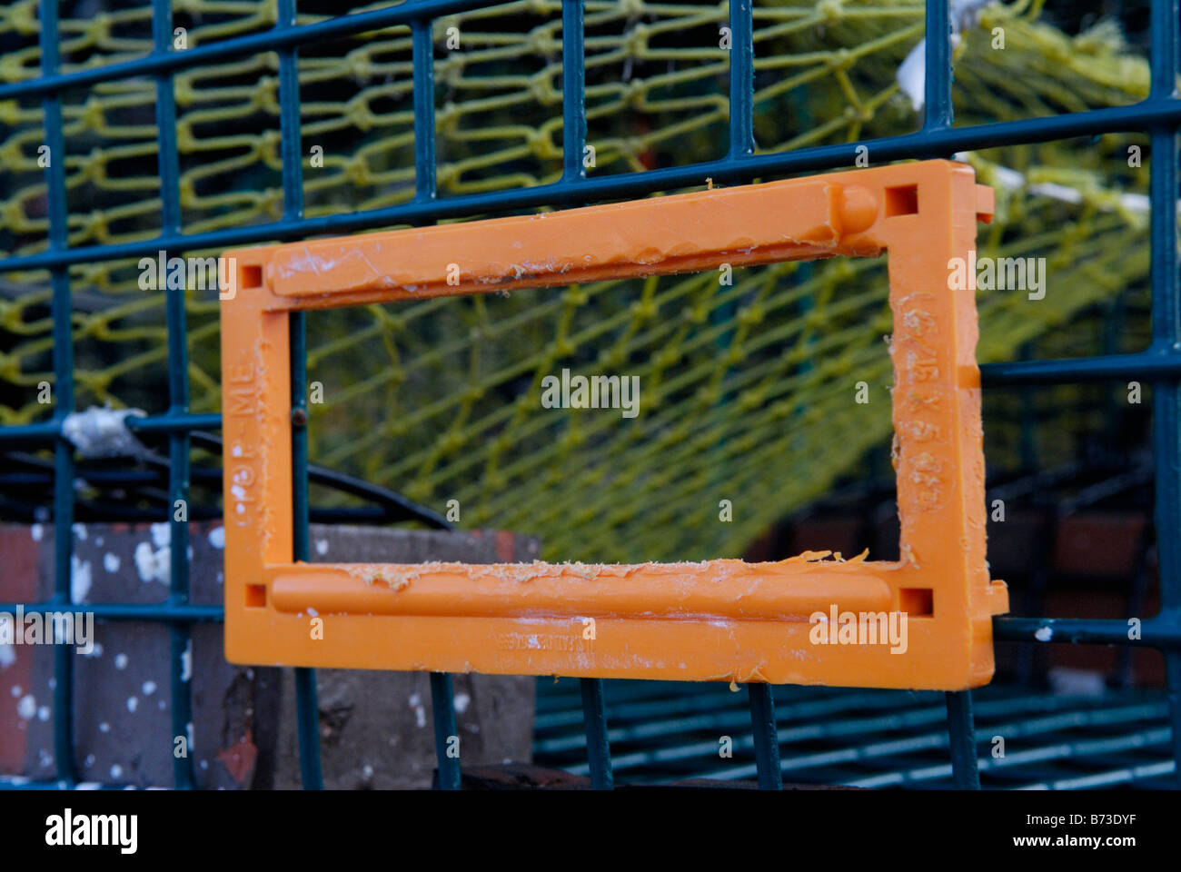 Turtle excluder device (TED) on crab trap Stock Photo Alamy