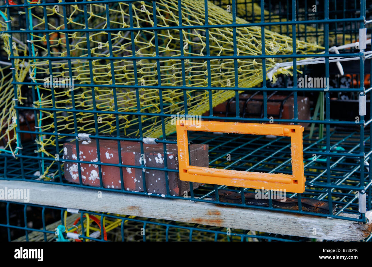 Turtle excluder device (TED) on crab trap Stock Photo