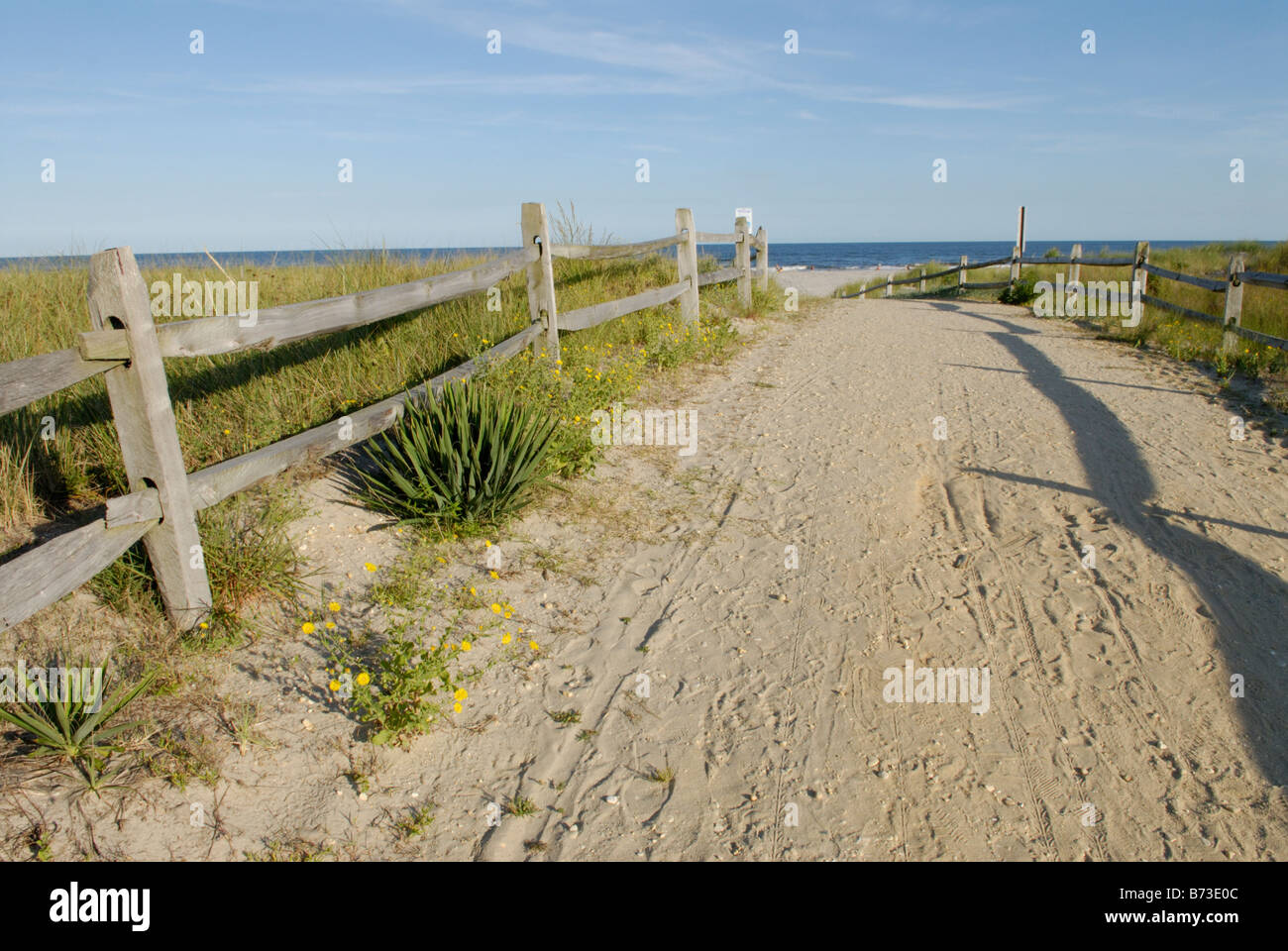 Path to the beach, Avalon, New Jersey Stock Photo Alamy