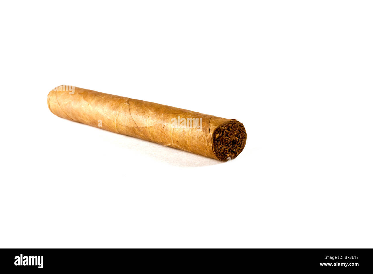 Single Cigar on white Stock Photo