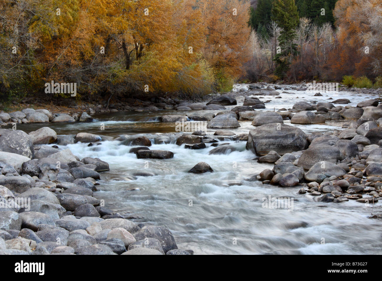 A running river in Colorado during fall. Stock Photo