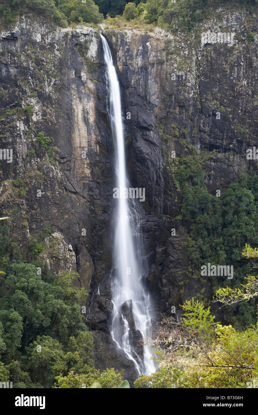 Ellenborough Falls near Elands Greater Taree Region New South Wales