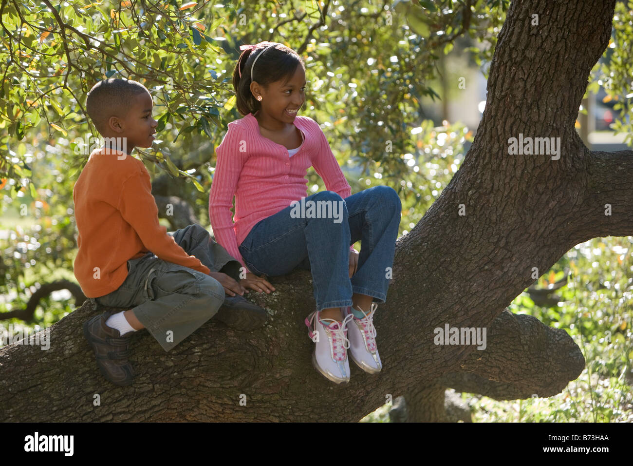 African American boy and girl sitting on tree branch in park Stock ...