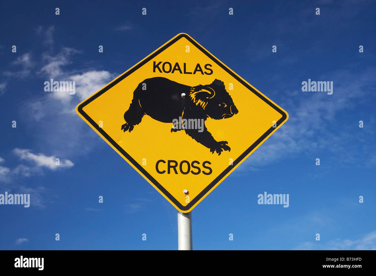 Koalas warning sign hires stock photography and images Alamy