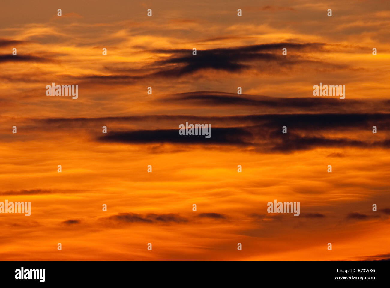 Abstract of orange clouds at sunset. Stock Photo