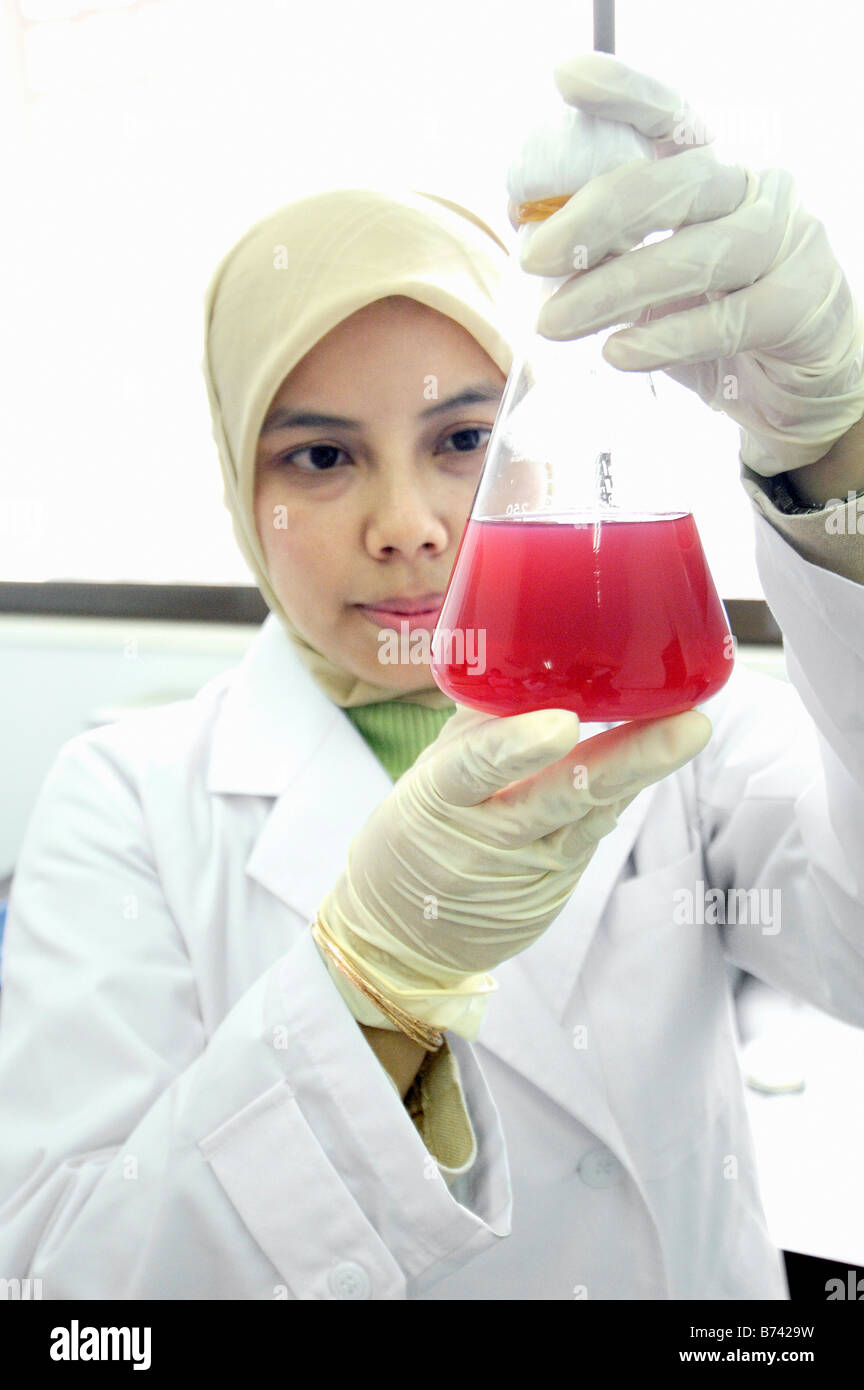Scientist woman working in the Cibinong Science Center, Indonesia Stock