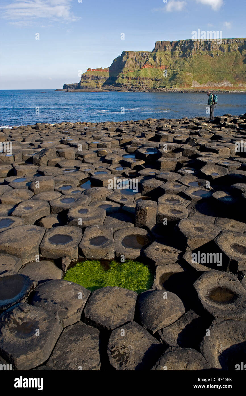 Northern Ireland Giant s Causeway Co Antrim UK Stock Photo - Alamy