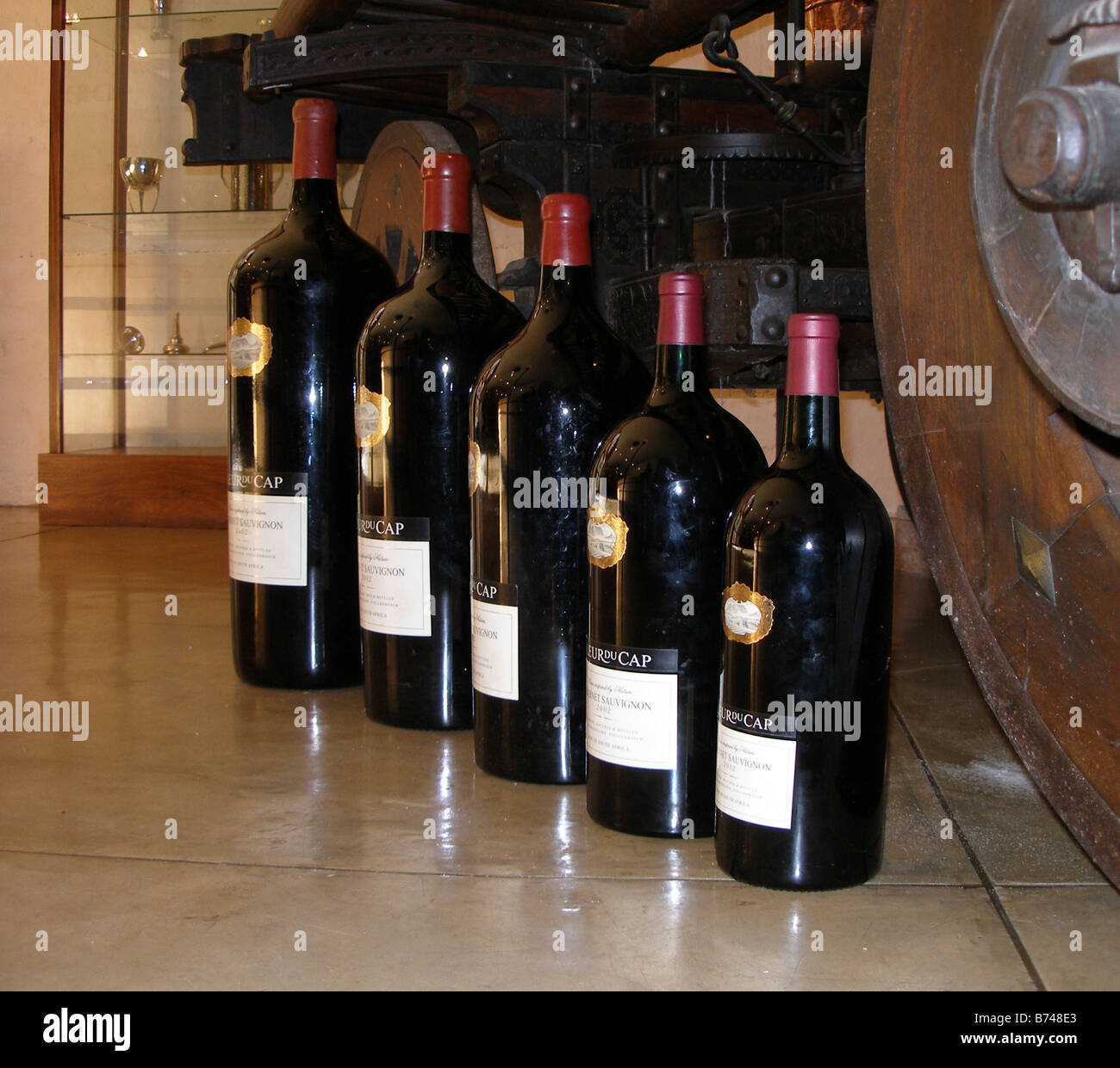 Magnum, Balthazar, Salmanazar, Methuselah and Jeroboam bottles of red wine at a South African wine farm Stock Photo