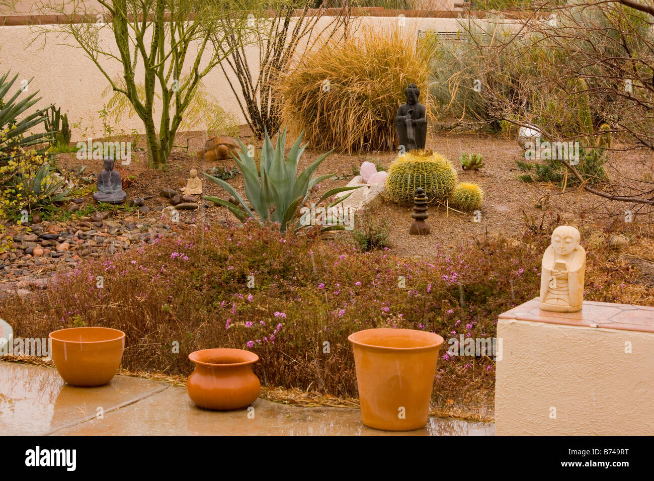 Desert Garden with buddhist influences in Green Valley Arizona in winter Stock Photo