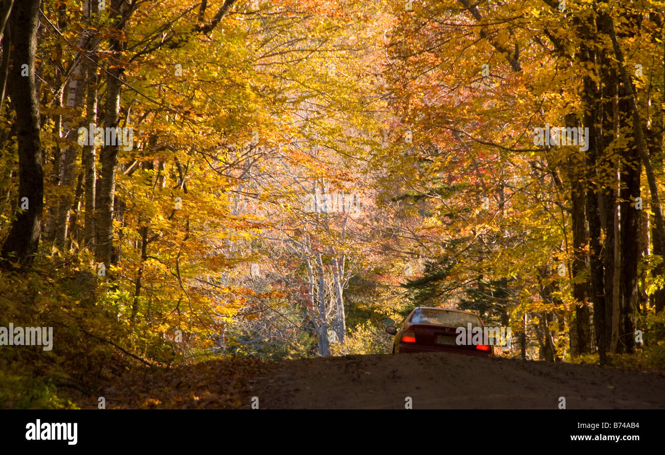 Forest Service Road 30 (FS30), Green Mountain National Forest, Vermont