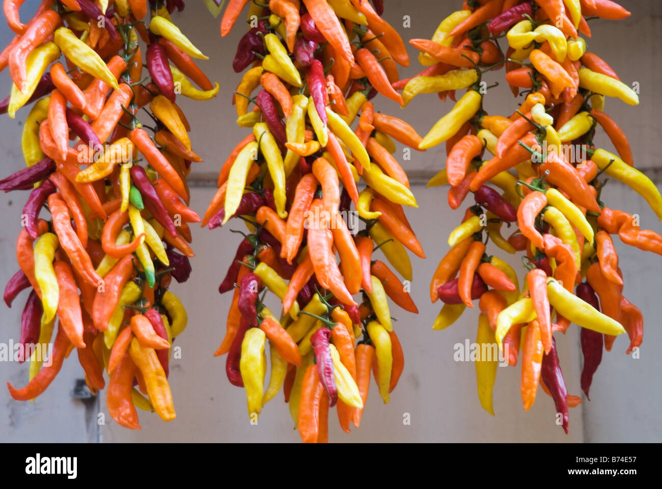 Chili peppers on sale in Sorrento Bay of Naples Stock Photo Alamy