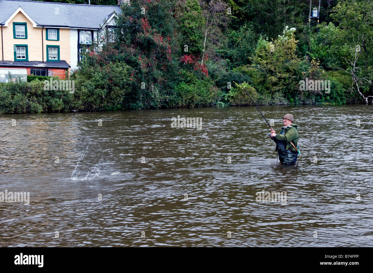 Angler fishing for salmon on the River Dovey at Dyfi Bridge Machynlleth