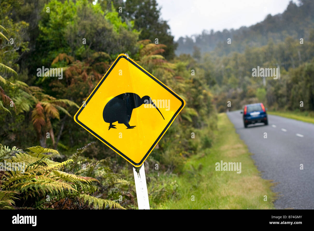 Penguin car hi-res stock photography and images - Alamy