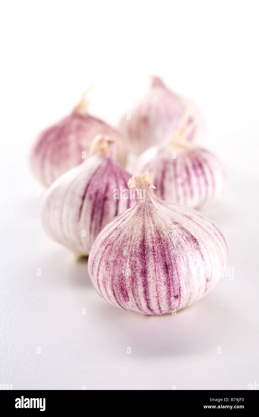 Five heads of Chinese garlic. Unlike normal garlic, Chinese garlic is one complete bulb - deal if you cook a lot ! Stock Photo