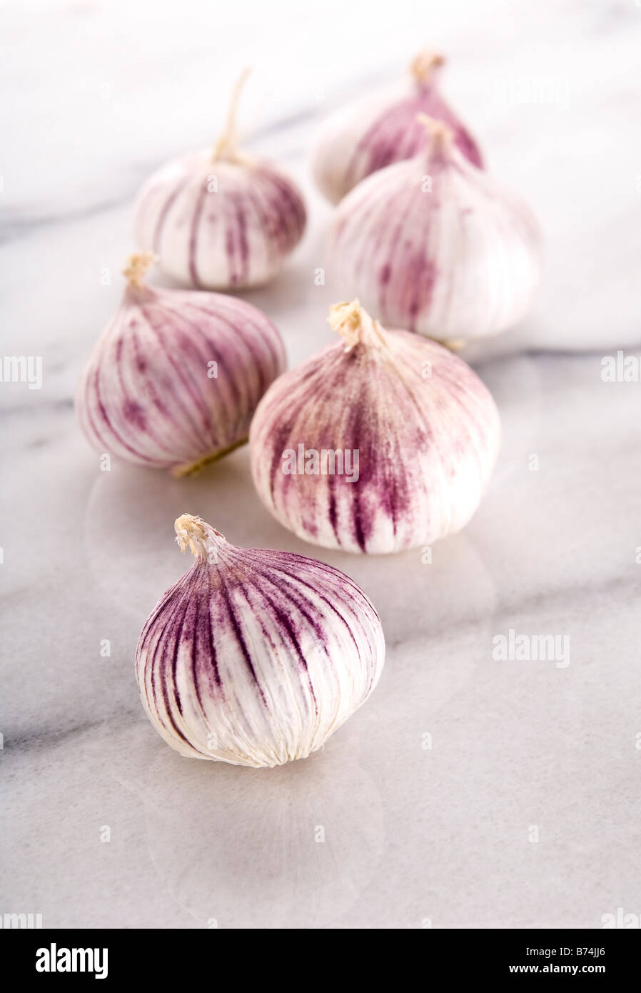 Five heads of Chinese garlic. Unlike normal garlic, Chinese garlic is one complete bulb - ideal if you cook a lot ! Stock Photo