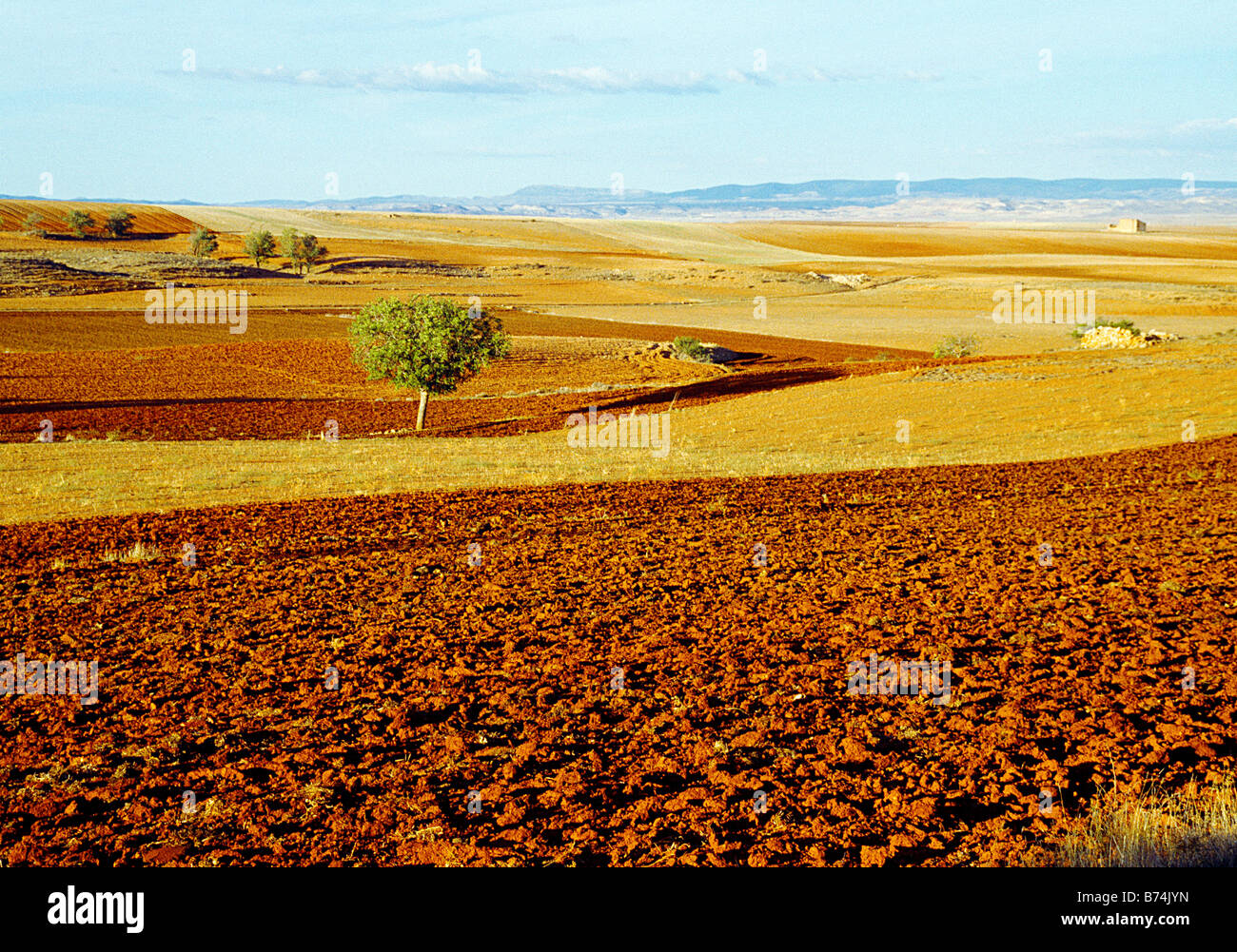 Fallow field. Teruel province. Aragon. Spain. Stock Photo