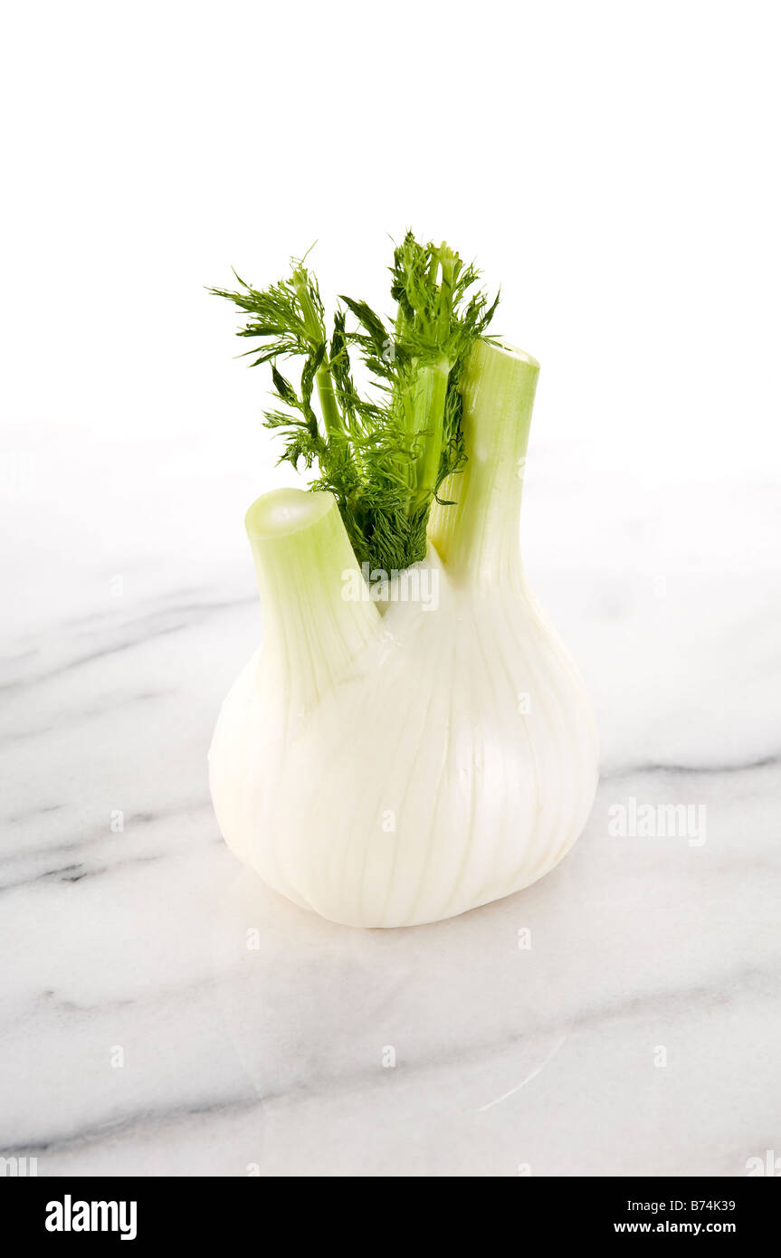Quarter of a raw fennel bulb. Showing the lovely texture inside and its