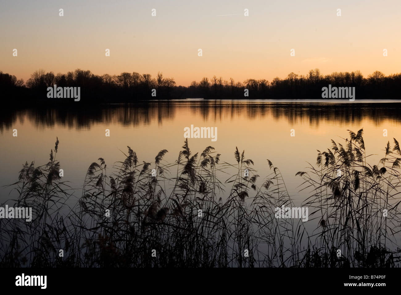 Little Paxton nature reserve, Cambridgeshire Stock Photo Alamy