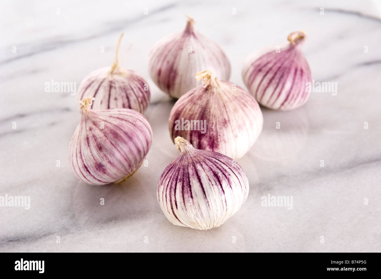 Six heads of Chinese garlic. Unlike normal garlic, Chinese garlic is one complete bulb - ideal if you cook a lot ! Stock Photo