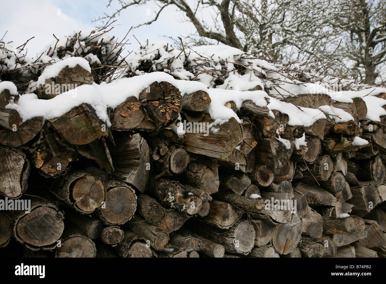 A large pile of logs and fire wood covered in snow Stock Photo