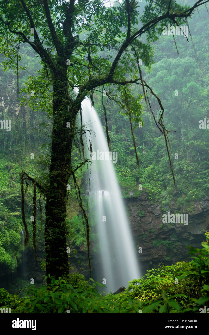 Beautiful tropical waterfall slow motion hi-res stock photography and ...