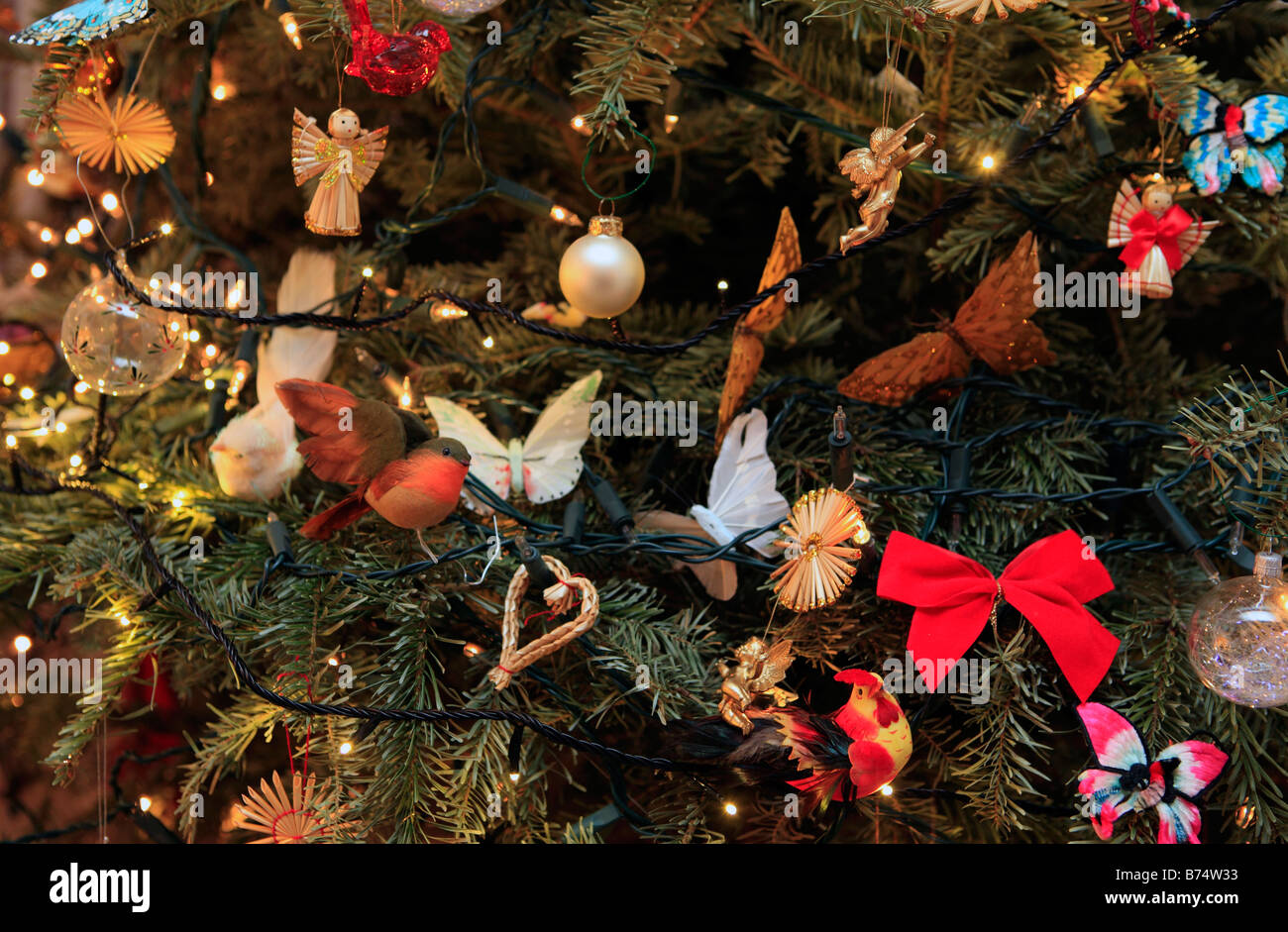 united kingdom a traditional british christmas tree Stock Photo Alamy