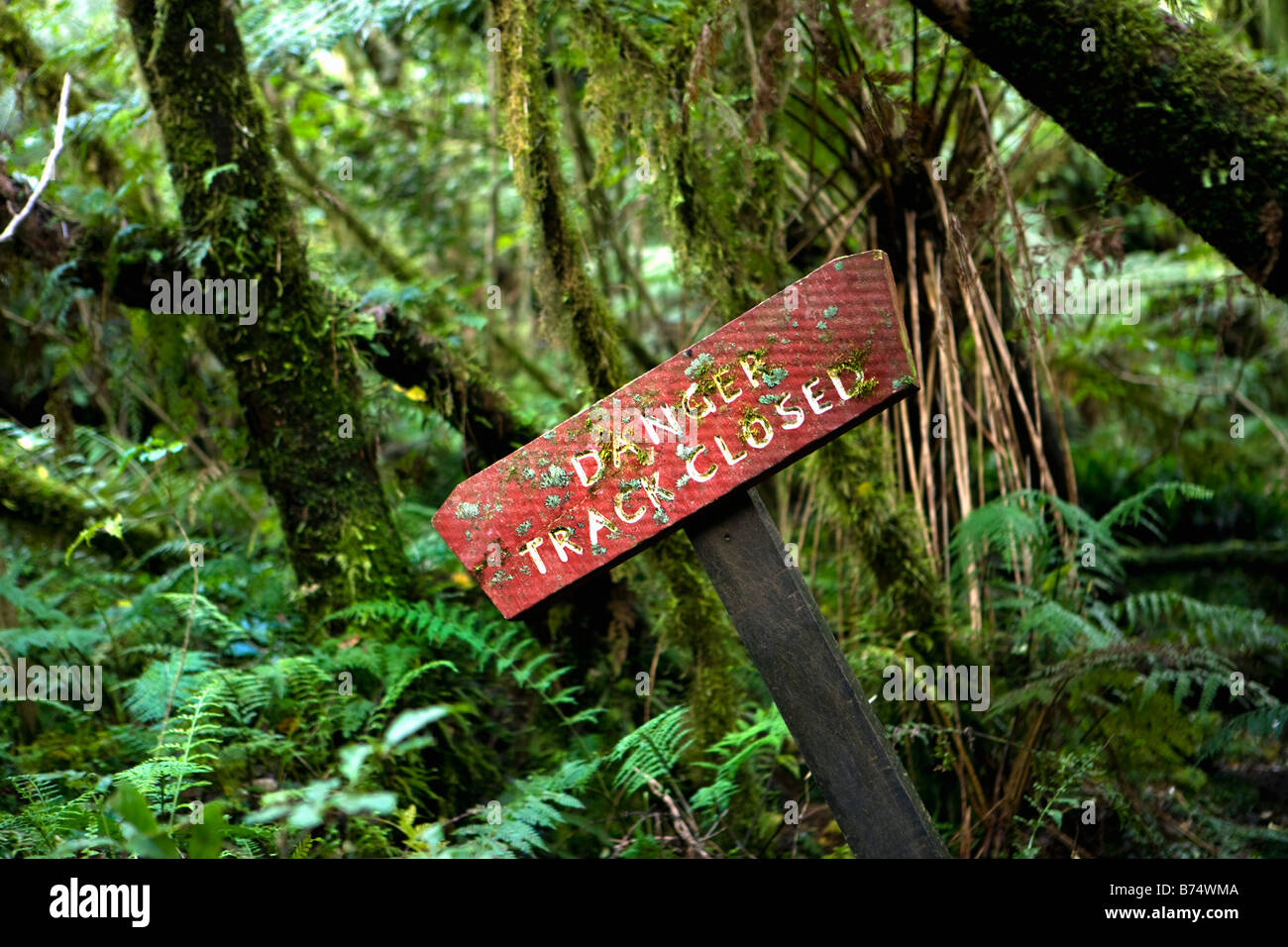 New Zealand, South Island, Fox Glacier, Chalet lookout track. Rainforest. Sign saying Danger Track Closed. Stock Photo