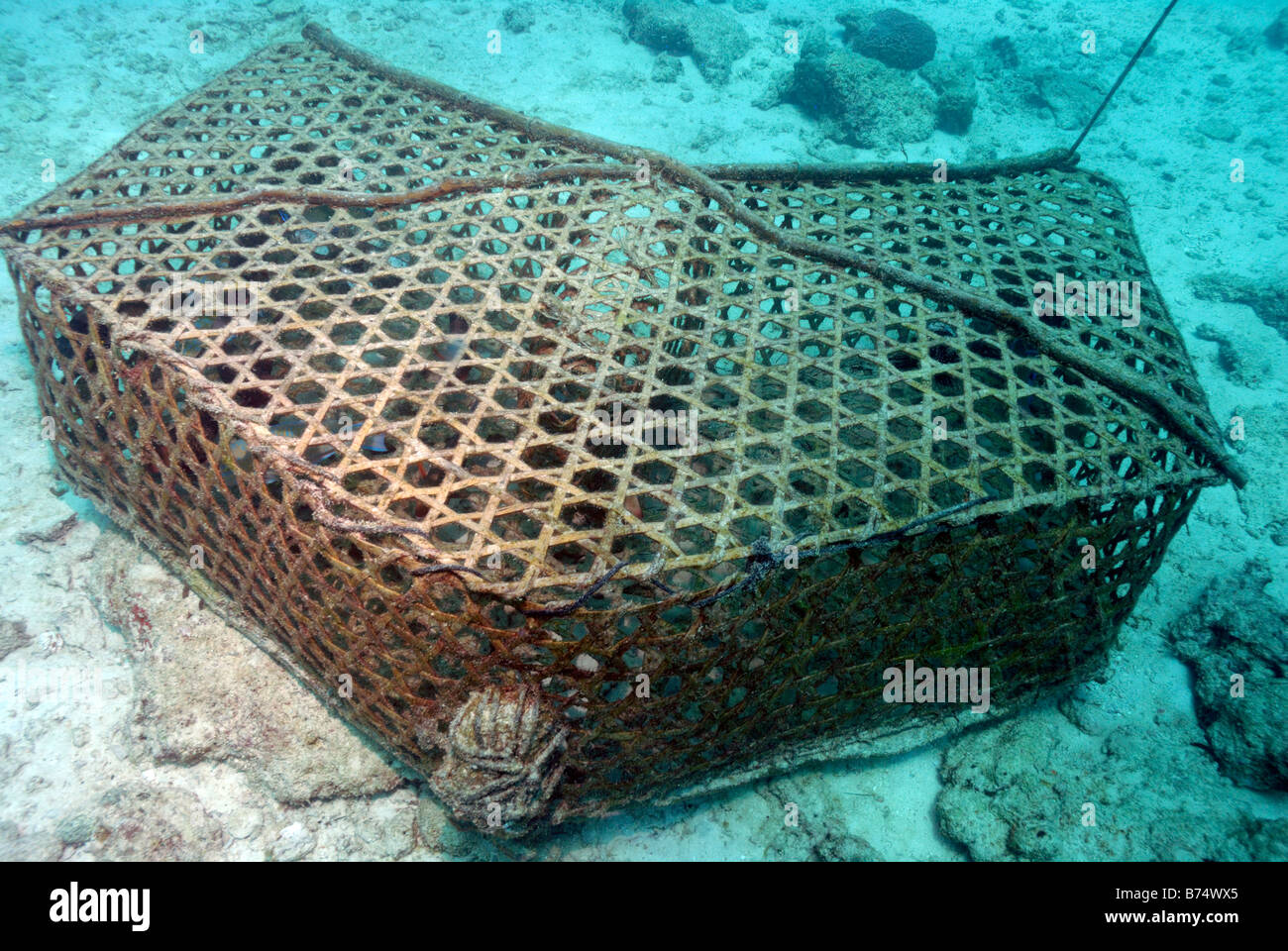 Fish trap Mahe Seychelles Indian Ocean Stock Photo - Alamy