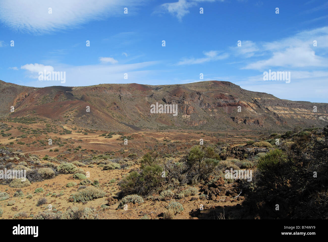Lower level of Mount Teide. Tenerife, Canary Islands Stock Photo