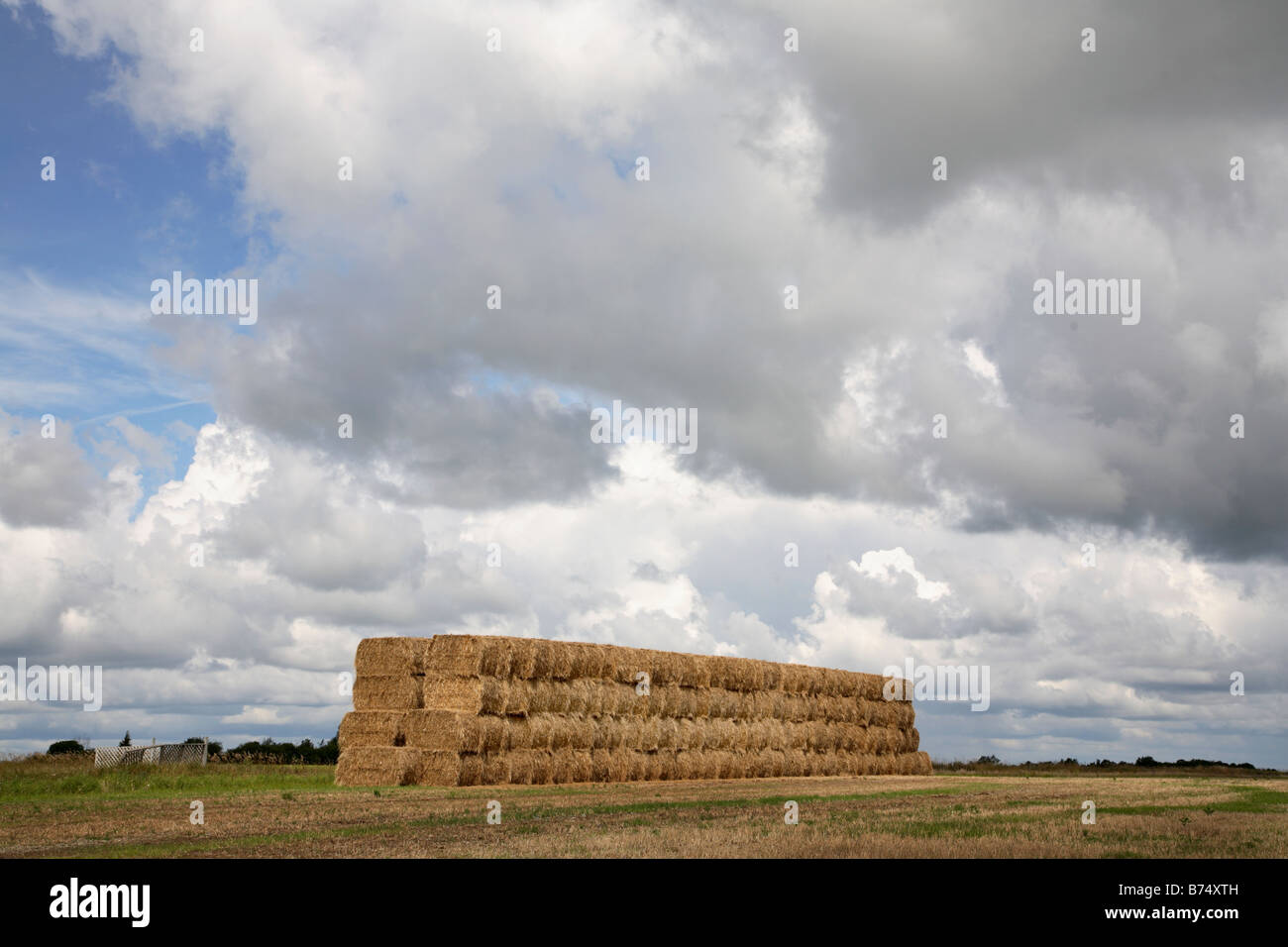 Haystack in field Stock Photo Alamy