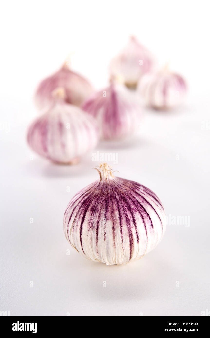 Five heads of Chinese garlic. Unlike normal garlic, Chinese garlic is one complete bulb - deal if you cook a lot ! Stock Photo