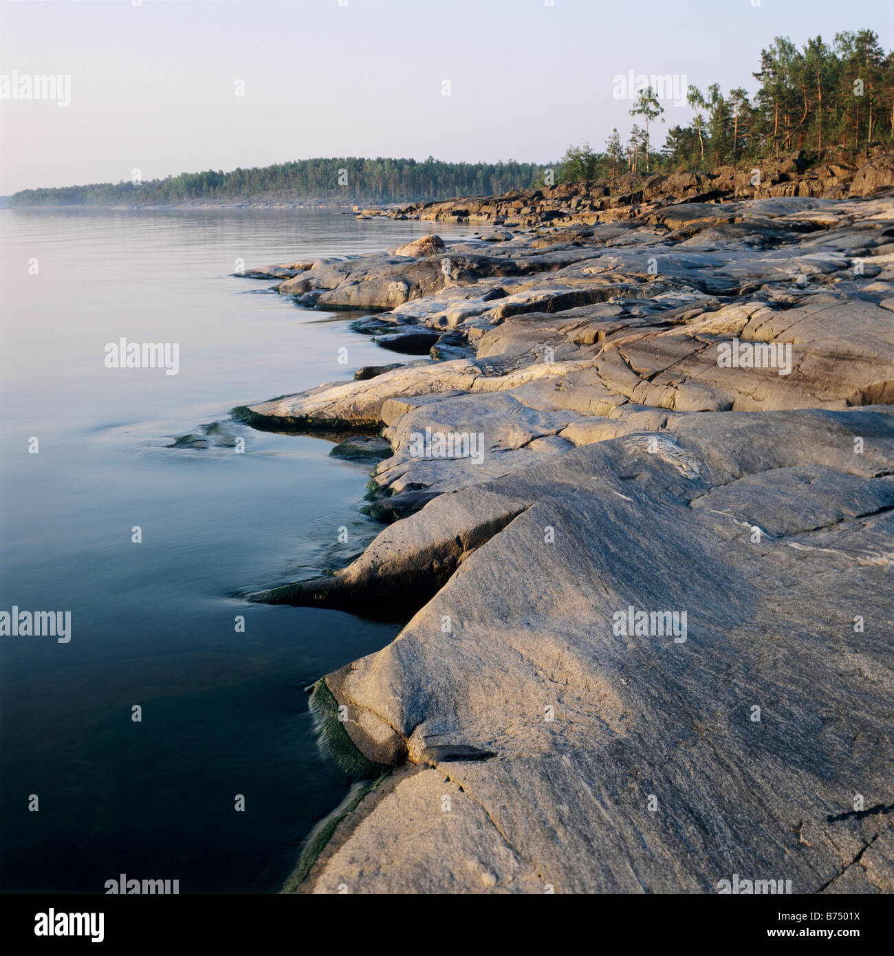 We are going to rest on the Blue Lakes of the Leningrad Region We are going to rest on the Blue Lakes of the Leningrad Region