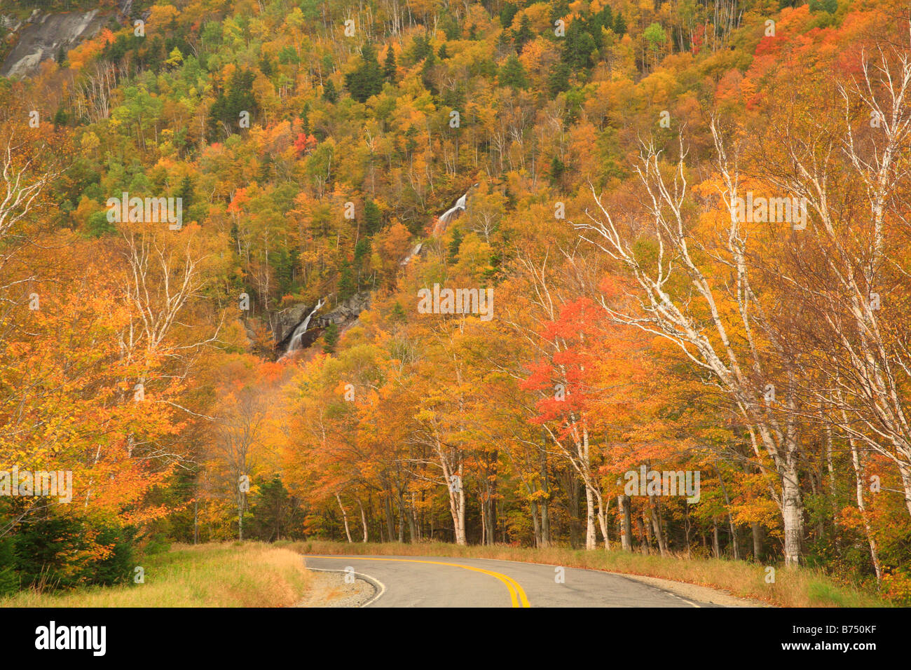 Cascade Brook, Grafton Notch State Park, Newry, White Mountains, Maine, USA Stock Photo Alamy