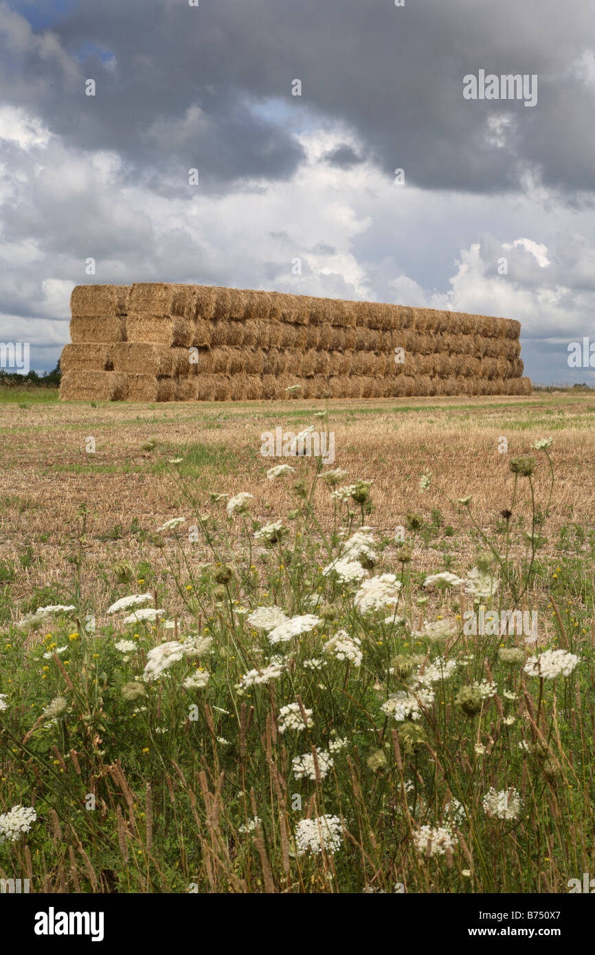 Tall haystack hi-res stock photography and images - Alamy