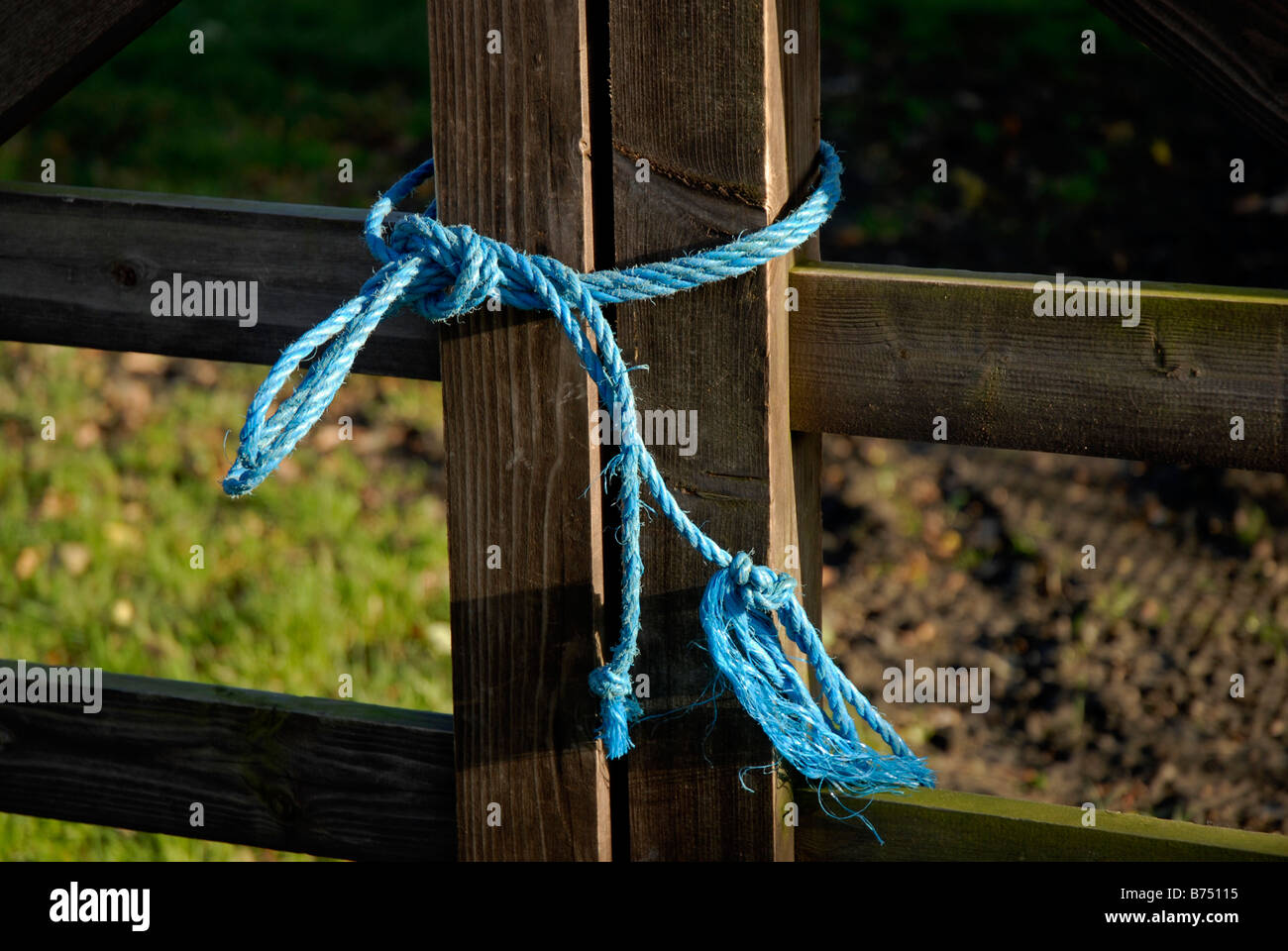 Farm gates tied together with strong blue cord Stock Photo