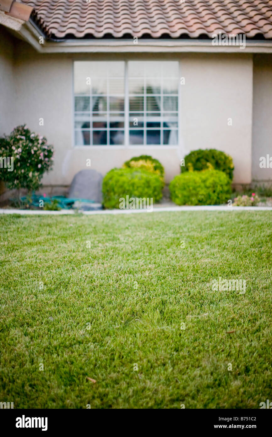 Suburban House With The Green Lawn In The Foreground And A Window In Stock Photo Alamy