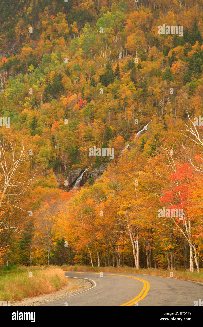 Cascade Brook, Grafton Notch State Park, Newry, White Mountains, Maine, USA Stock Photo Alamy