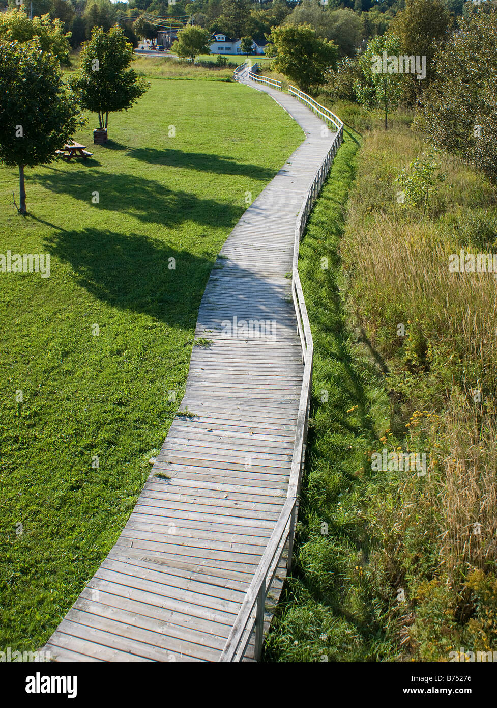 Lakes and reed beds hi-res stock photography and images - Alamy