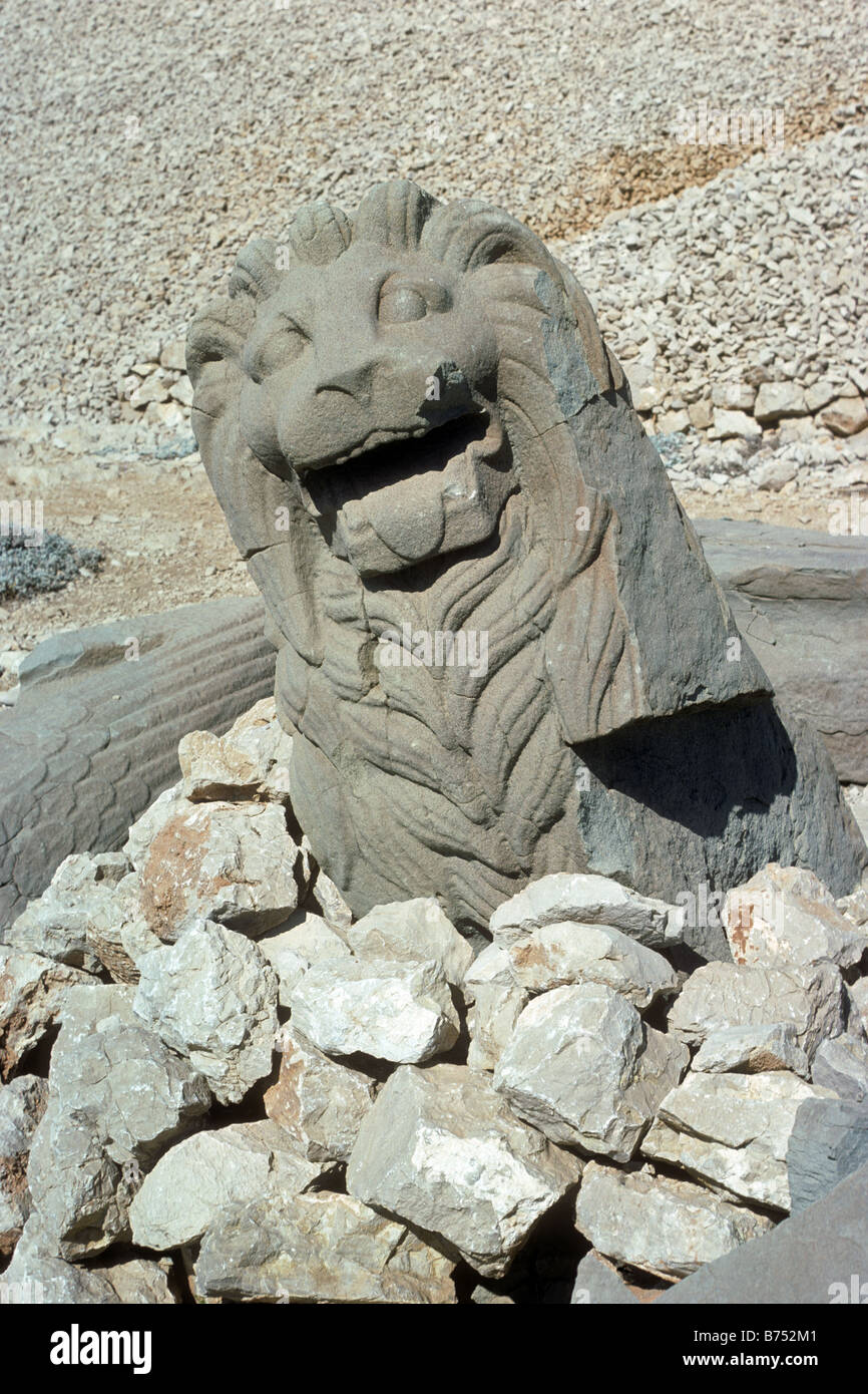 Stone head of a lion among the Commagene heads on summit of Nemrut Dagi ...