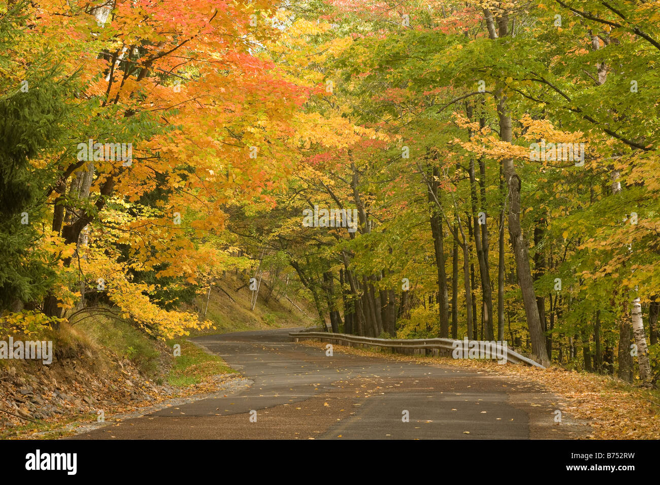 WISCONSIN - Autumn foliage along the road up Rib Mountain in Rib Mountain State Park near Wausau. Stock Photo