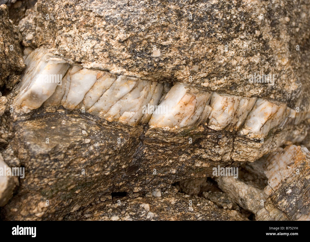 A thick vein of white quartz in a granite boulder. Stock Photo