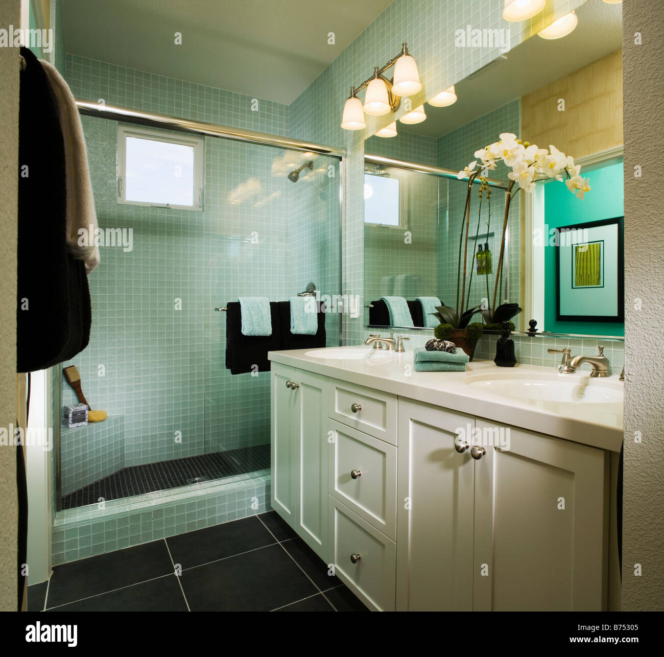 Elegant Blue Bathroom with White Orchids Stock Photo - Alamy