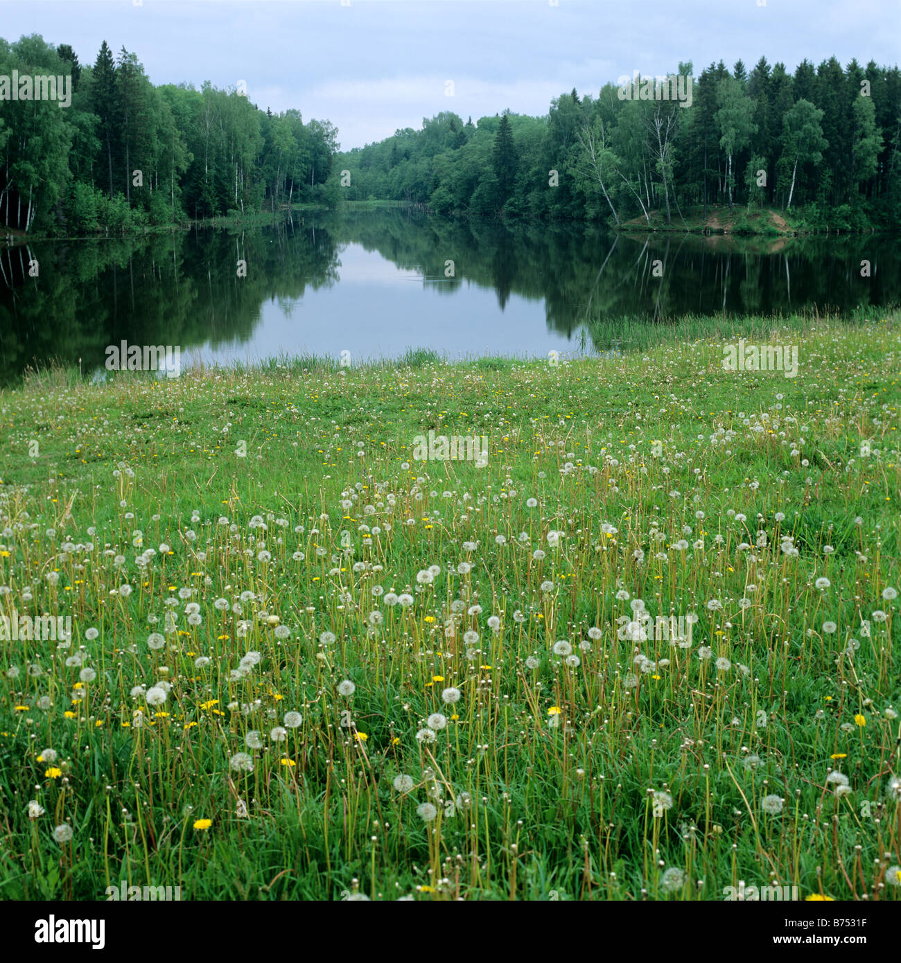 Moscow Region. Lake Nikolsky. Russia. Stock Photo
