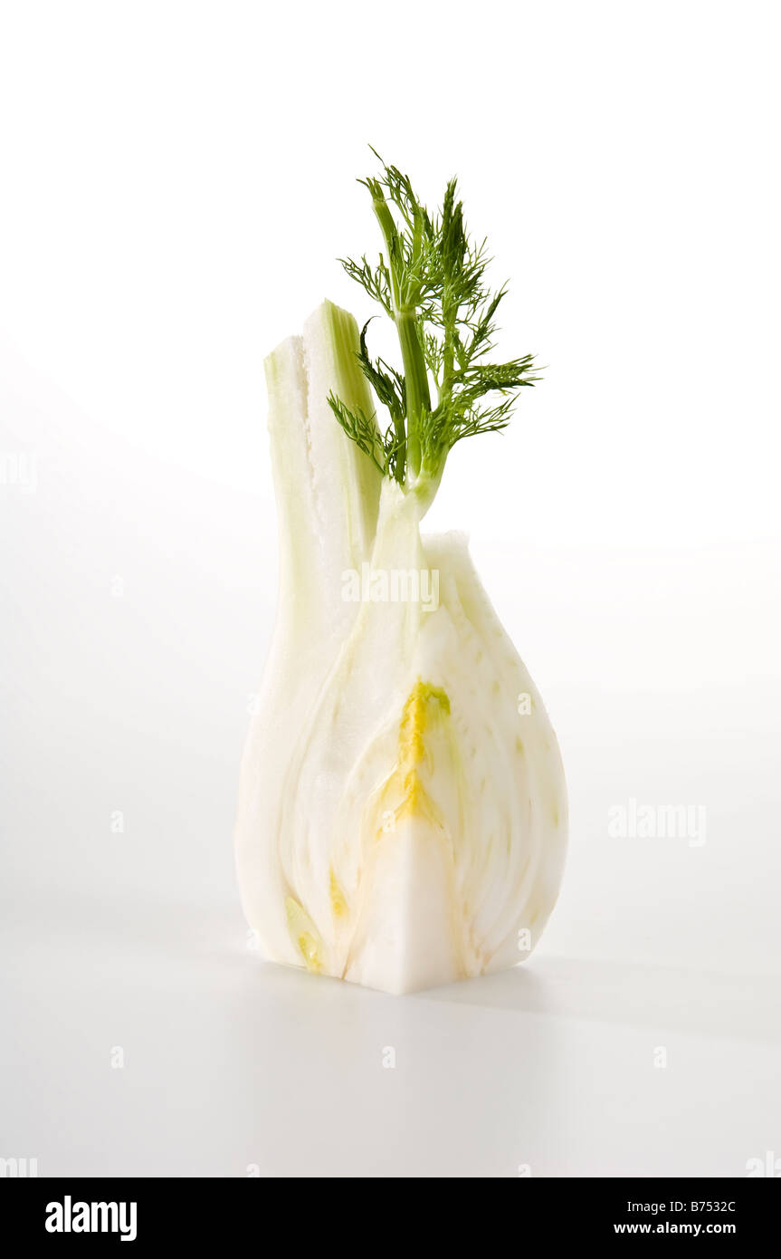 Quarter of a raw fennel bulb. Showing the lovely texture inside and its