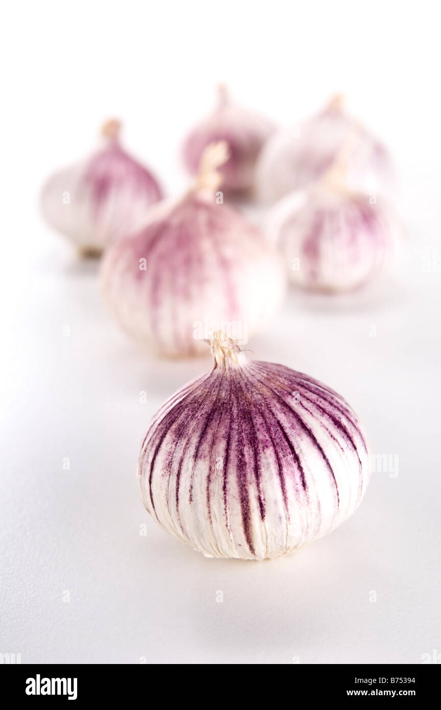 Six heads of Chinese garlic. Unlike normal garlic, Chinese garlic is one complete bulb - deal if you cook a lot ! Stock Photo