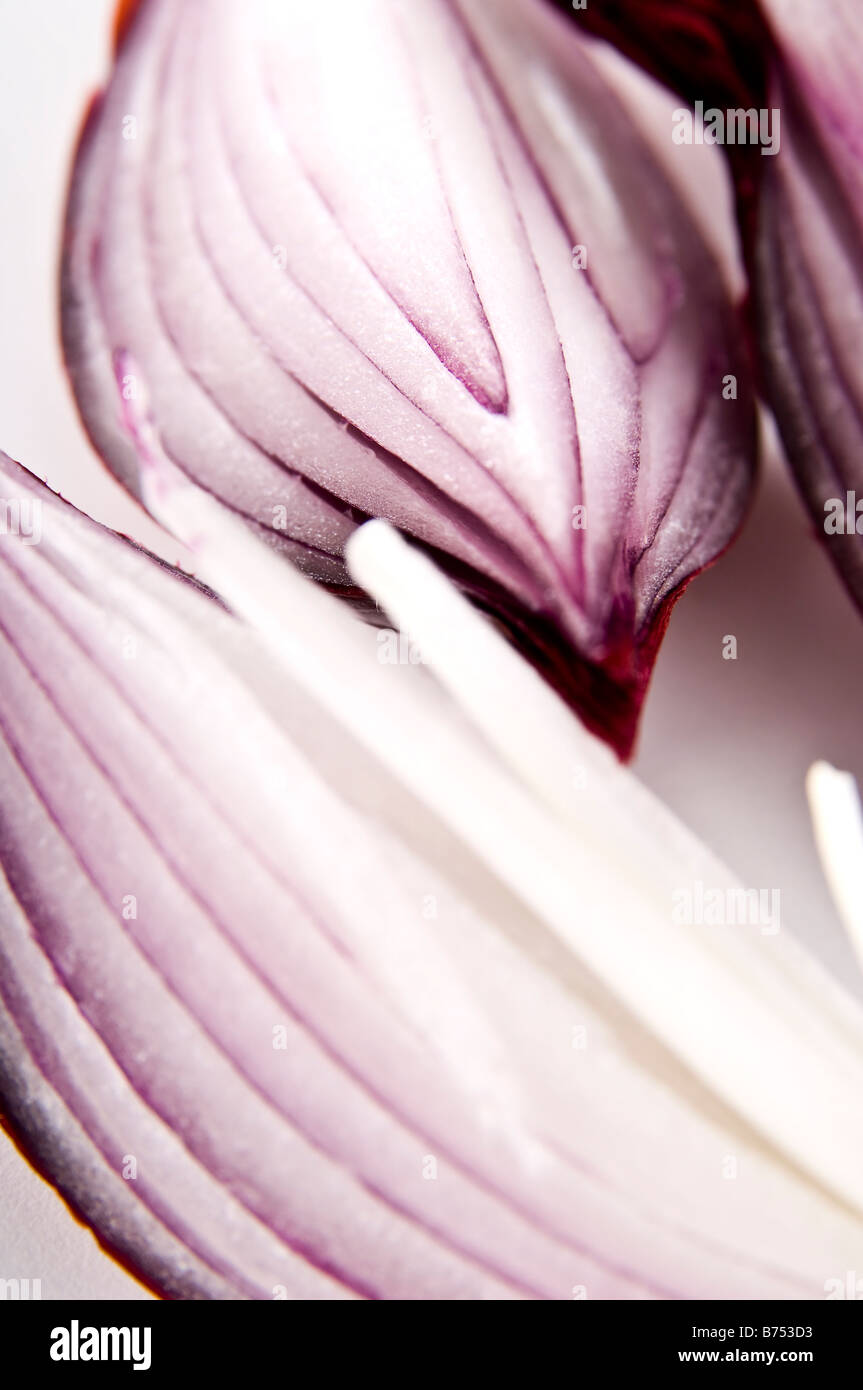 Close-up detail of red onion quarters showing the amazing texture. Stock Photo