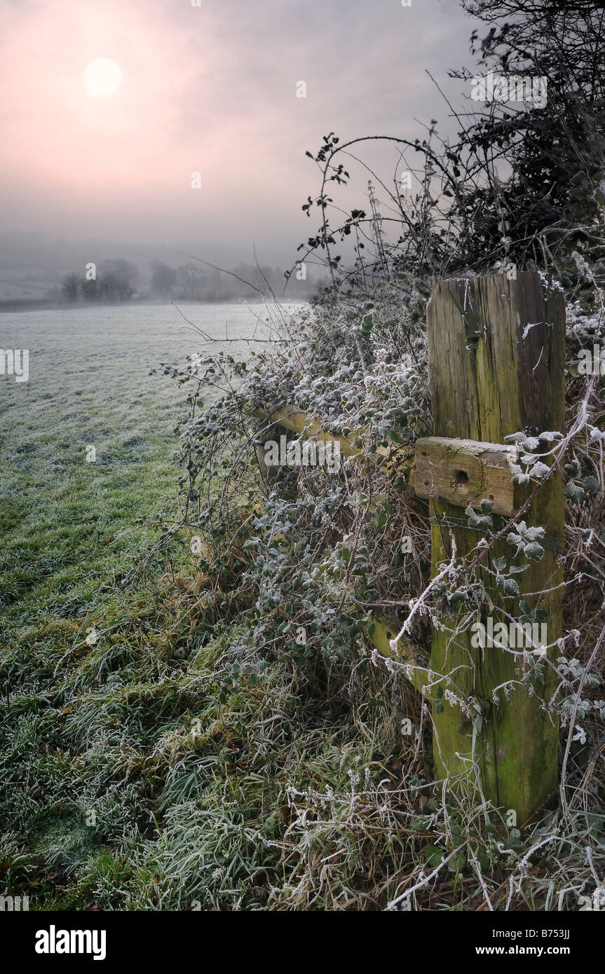 Winter Gate Stock Photo