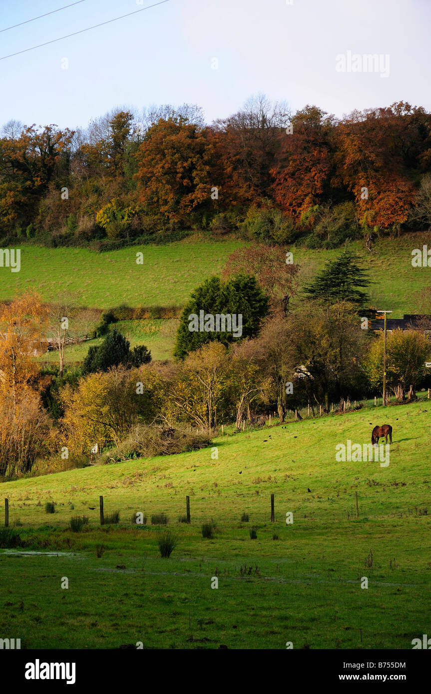 Fall landscape field trees hi-res stock photography and images - Alamy