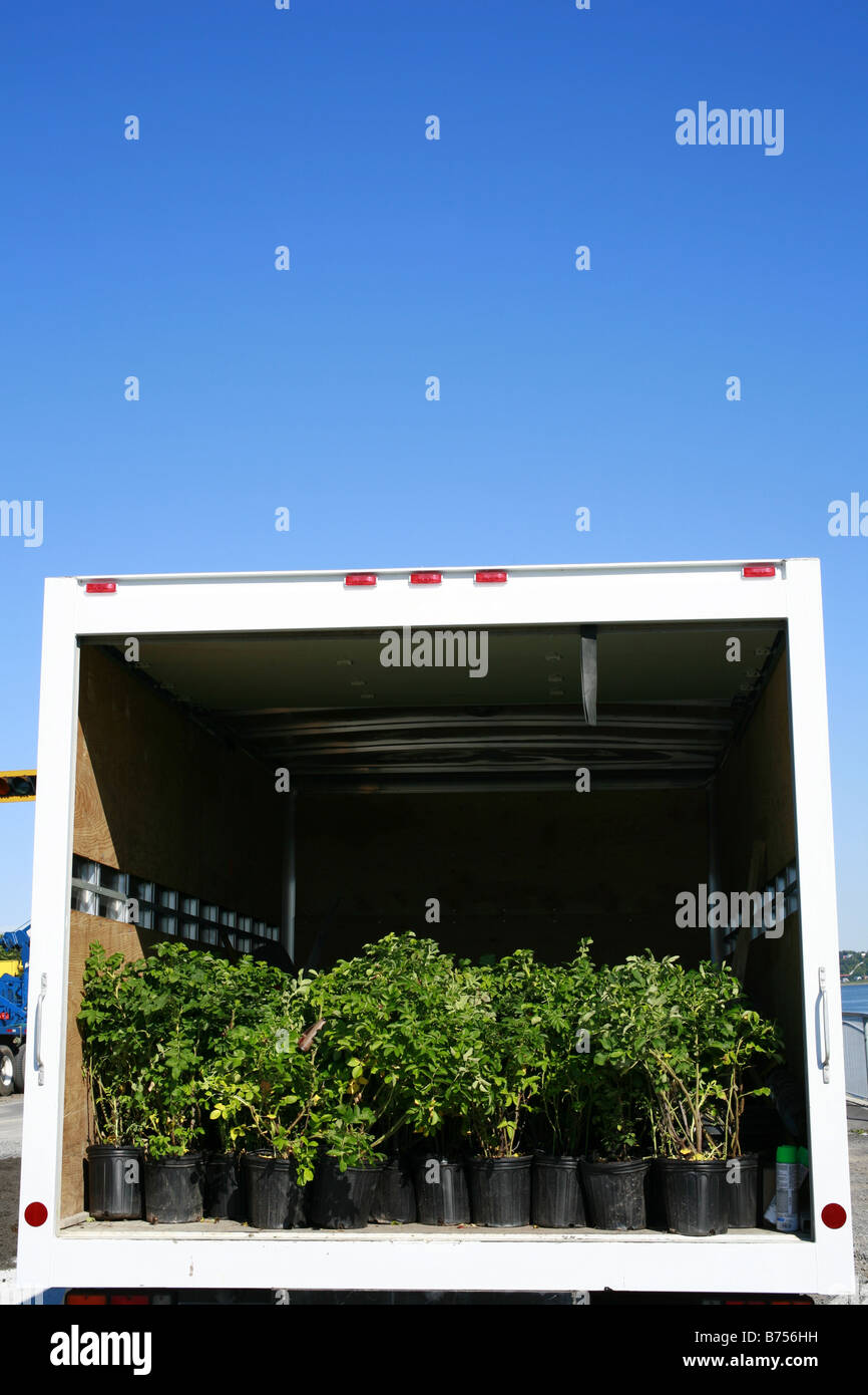 Open back of delivery truck with potted plants, Quebec City, Quebec Stock Photo